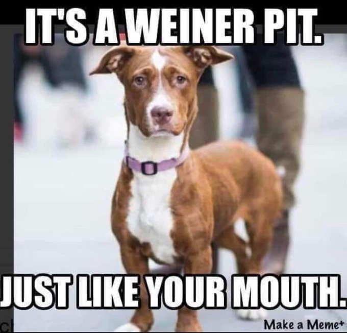 It&rsquo;s a wiener pit. Just like your mouth 👄 https://t.co/SgS2C3XGTU<a href="/tag/mvsales"class="tags"><span>#mvsales</span></a>