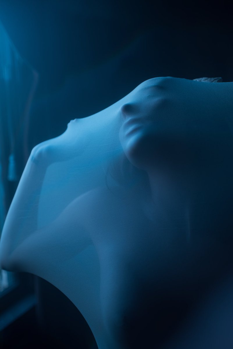 Chrysalis 🦋 X <a href="/shawnswallows/">Shawn</a>