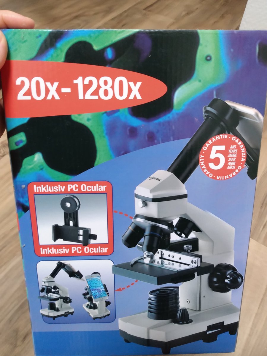 Carolina Romano tweet media