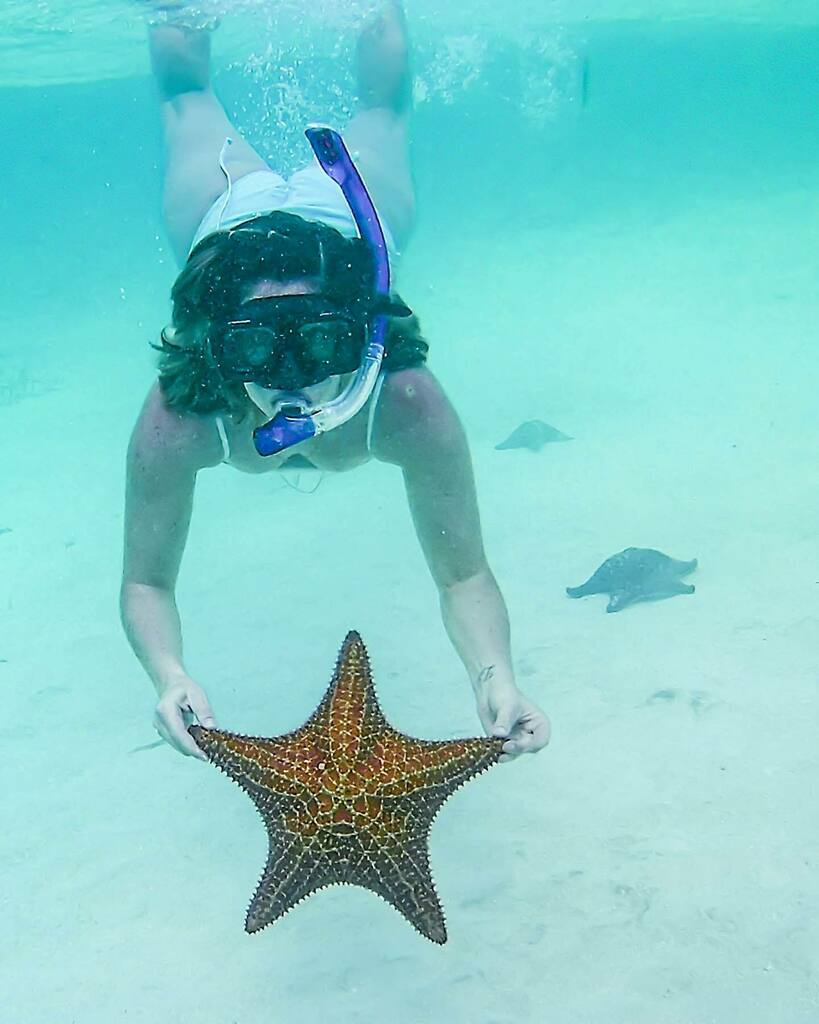 Have you ever touched a starfish? 🤿

Snorkeling in Belize is amazing because they have hundreds of islands with shallow coral reefs and sandbars like this one! They don’t all have starfish though ☝🏻 so if you want to see hundreds of starfish you have… instagr.am/p/Cb2galdOPDi/