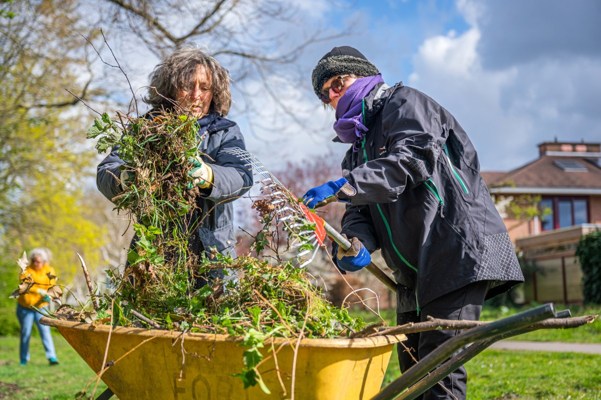 sonsbeeckpark's tweet photo. Vandaag hadden we weer een succesvolle parkochtend! Dank aan alle aanwezige vrijwilligers! De volgende parkochtend is op 21 mei. Tot dan!

Meer foto's: https://t.co/SEntvwOjhu #Breda https://t.co/Pqy7SIupUG