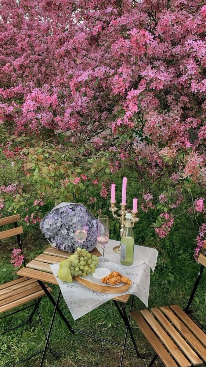 300moods's tweet photo. picnics 🧺🌸 https://t.co/HZd5PYFbgW