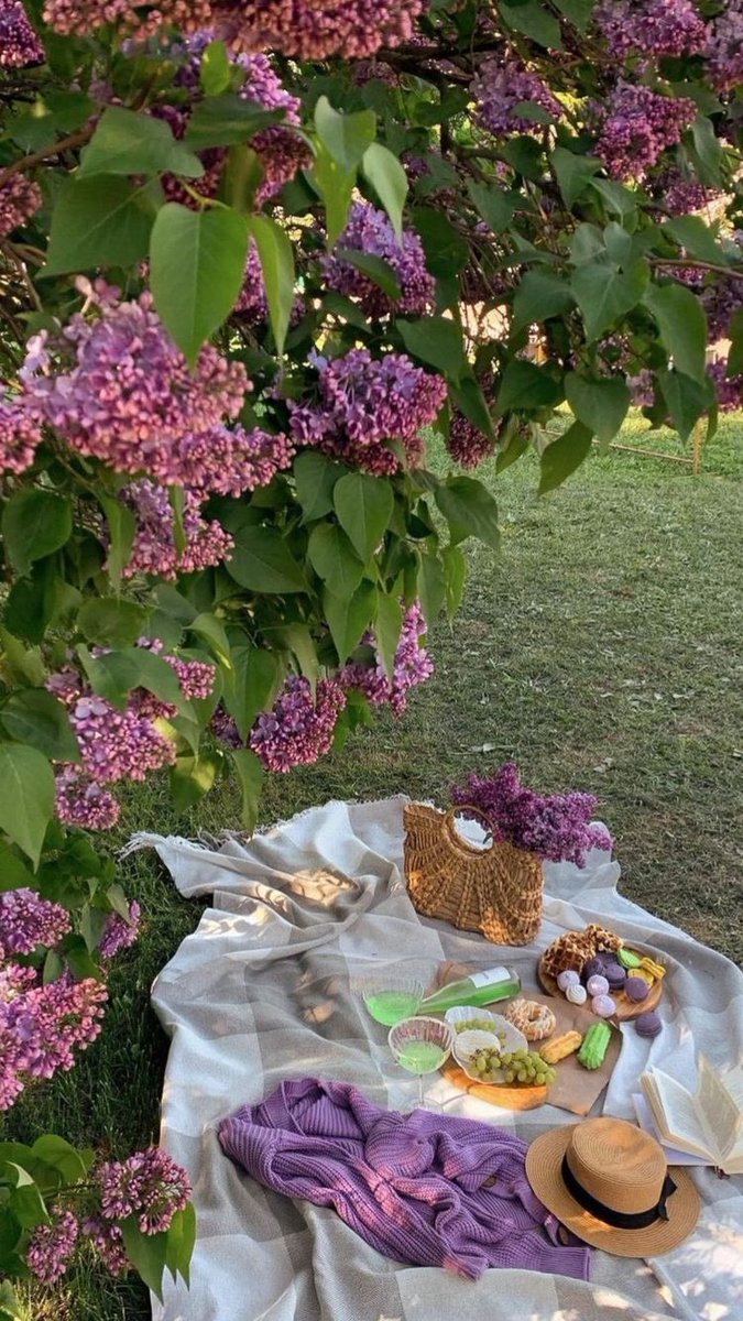 300moods's tweet photo. picnics 🧺🌸 https://t.co/HZd5PYFbgW