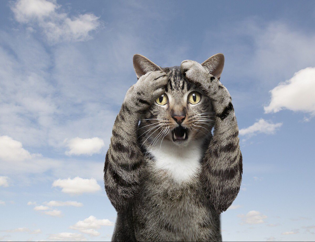 В убого-дуальной картине мира настоящих ответов нету. 
Одни бестолковые «почему» да «за что» — размышляет #психобиодинамика