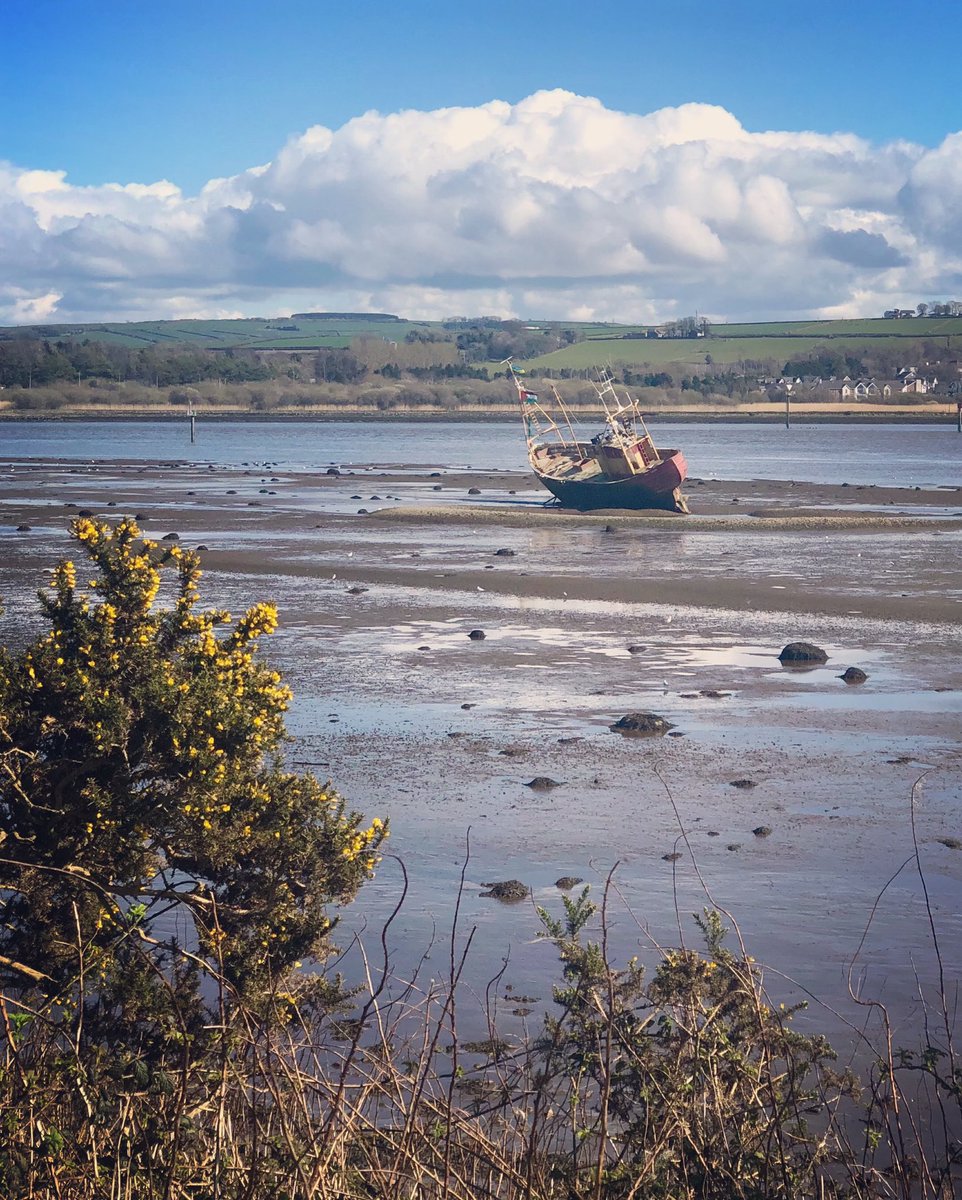 spill3's tweet photo. #derry #riverfoyle #strandedboat https://t.co/PlMvGbJquB