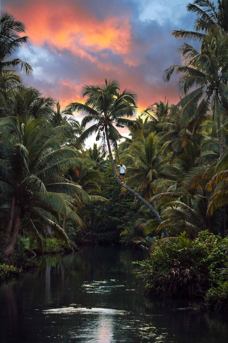 jacobriglin's tweet photo. gm — wanna win an AllowList spot for Reflections? Like, retweet and then comment below where the original photo was shot! I’ll pick a 3 winners from the correct answers in 24hrs! 👀 🌴 https://t.co/oEWd1FSeIo