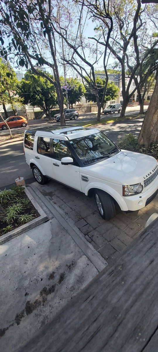 Aranchatita's tweet photo. Afuera de Karmele en Morelos 2279, esta doña no le batalla para ir al pan, súper relax invadiendo banqueta @Trafico_ZMG @GdlMovilidad https://t.co/9fFUy28q3g