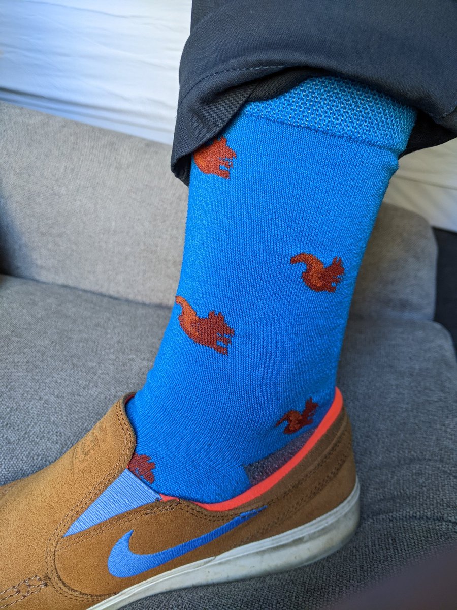 Ben Sajdak tweet media