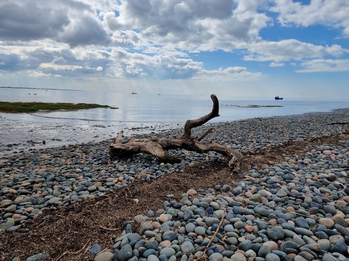 #Lytham dog walk so calm today