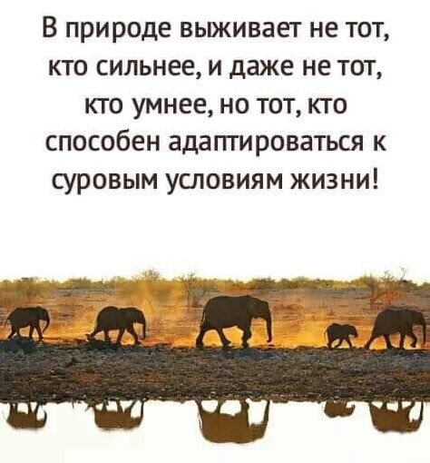 А адаптированный находится в состоянии ментального и психологического баланса. Открыт для взаимодействия и конструктивно настроен на будущее. Он ощущает опору под ногами и ему, в основном, хорошо жить и быть в потоке в его внутреннем и внешнем мирах — добавляет #психобиодинамика