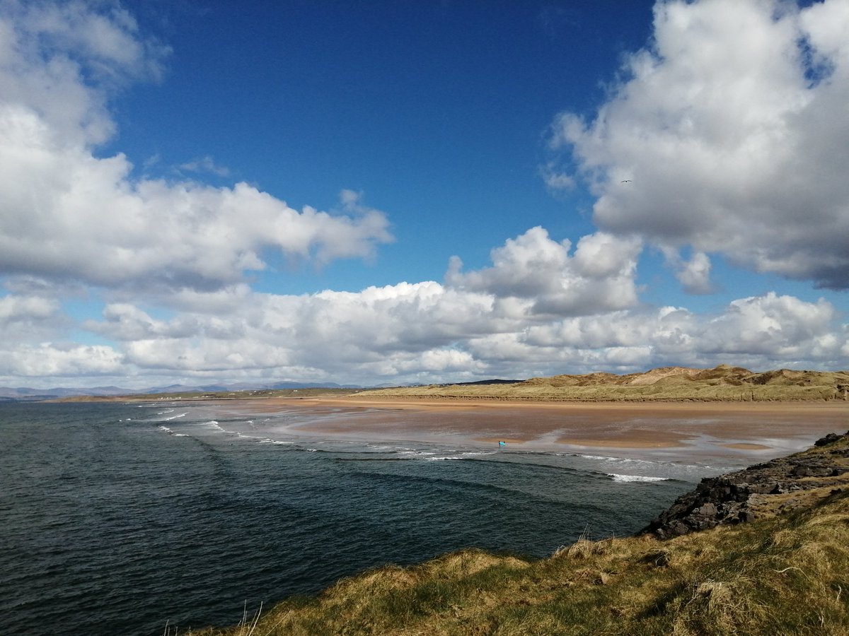 David P Mitchell tweet media