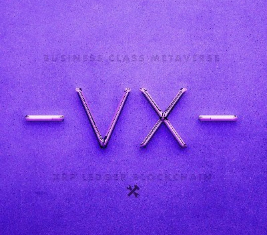 VandermanXRP 🟧 tweet media