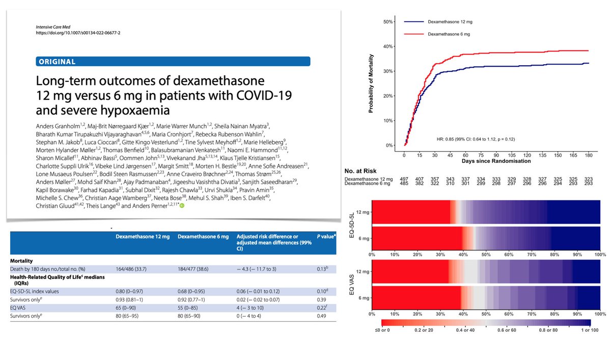 Daily dexamethasone 12 vs 6 mg for up to 10 days in #COVID19 pts with severe hypoxaemia, COVID STEROID 2 trial: NO significant improvements in mortality or HRQoL at 180 days but results most compatible with benefit from higher dose.
#FOAMcc #COVIDFOAM
📎 rdcu.be/cKsnT