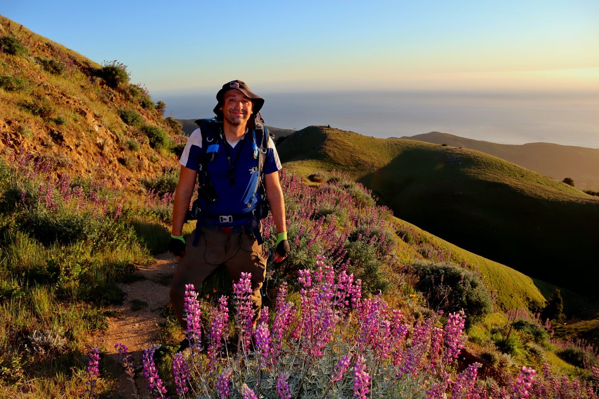 Hunter47539692's tweet photo. Hiker life: #ventanawilderness #wilderness #santaluciamountains #bigsur #andrewmolerastatepark #hiker #hiking #hike #outdoors #hill #blooming #bloom https://t.co/JXbVe8ZzpE