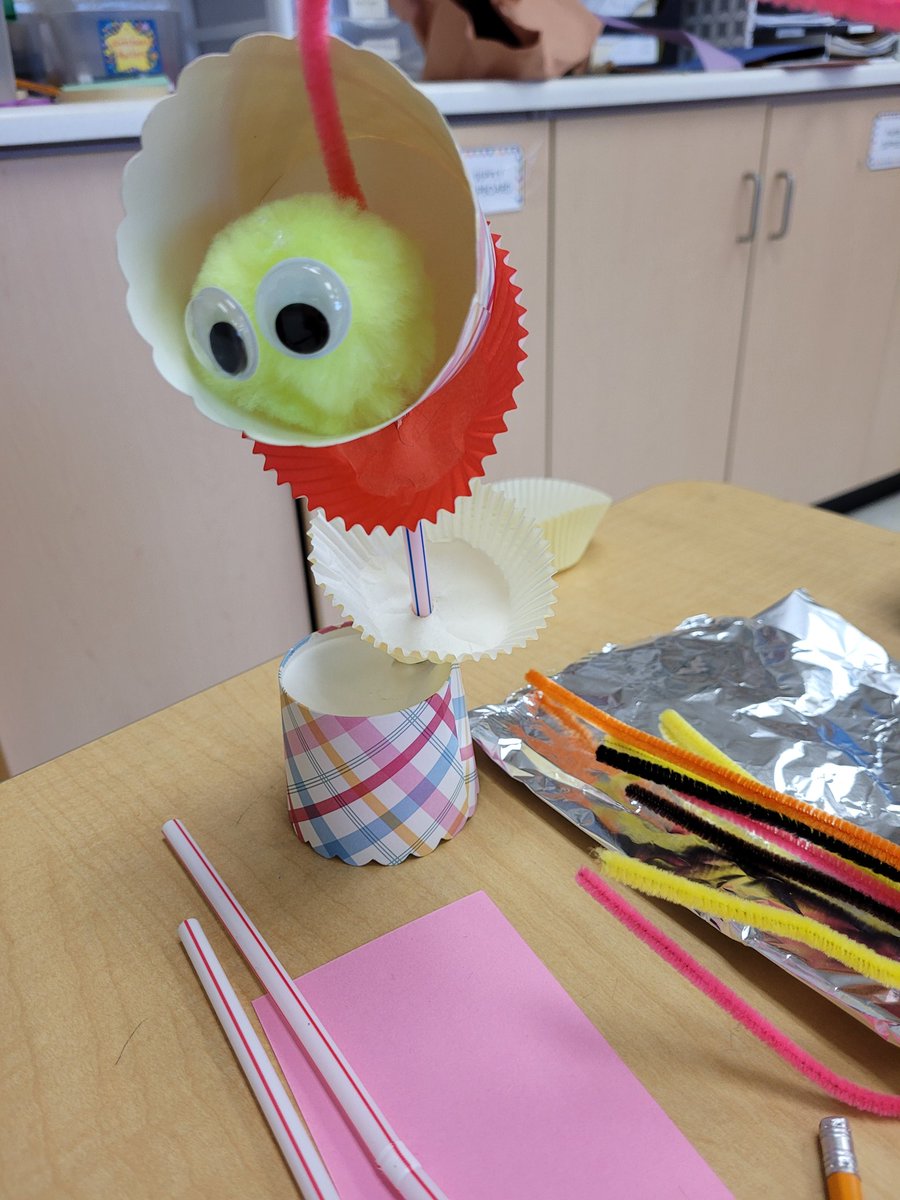 AComu03's tweet photo. Look at the fabulous perch projects being built for structures! 
#funingrade3 @JSCardinals @MrLuch2 @k_duench https://t.co/axR4GFhUI9