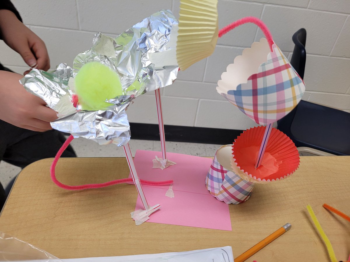 AComu03's tweet photo. Look at the fabulous perch projects being built for structures! 
#funingrade3 @JSCardinals @MrLuch2 @k_duench https://t.co/axR4GFhUI9