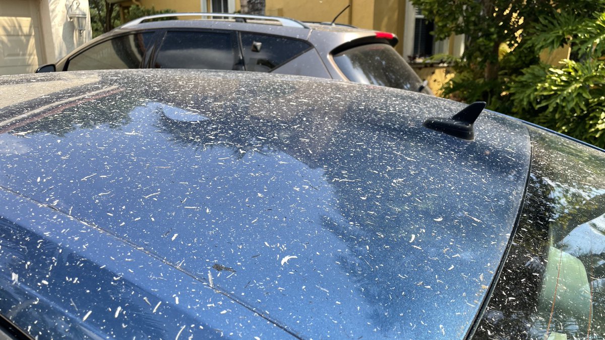 CraigSetzer's tweet photo. Many in west Broward waking up to a light dusting this morning…of ash.  Everglades wildfire will continue to burn allowing for smoke and ash to spread into the metro areas through the weekend. https://t.co/lju6hdUOfW