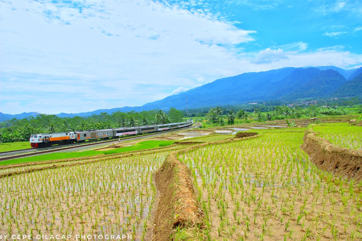 cepe_cilacap's tweet photo. KA Argo Dwipangga @KAI121
#kai121 #railfriend #wonderfullindonesia https://t.co/eJ70yyxwkz