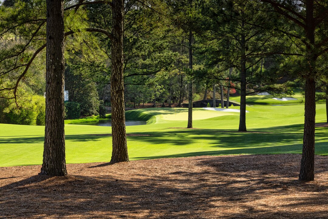 The masters themasters twitter