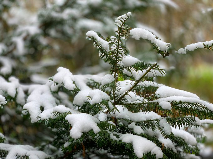 Less than a week ago we had perfect spring and today winter came back. https://t.co/GtAvFQklwI<a href="/tag/peggysues"class="tags"><span>#peggysues</span></a>