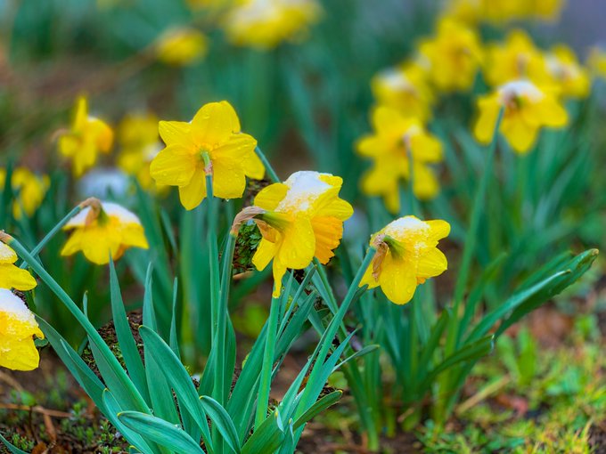 Less than a week ago we had perfect spring and today winter came back. https://t.co/GtAvFQklwI<a href="/tag/peggysues"class="tags"><span>#peggysues</span></a>