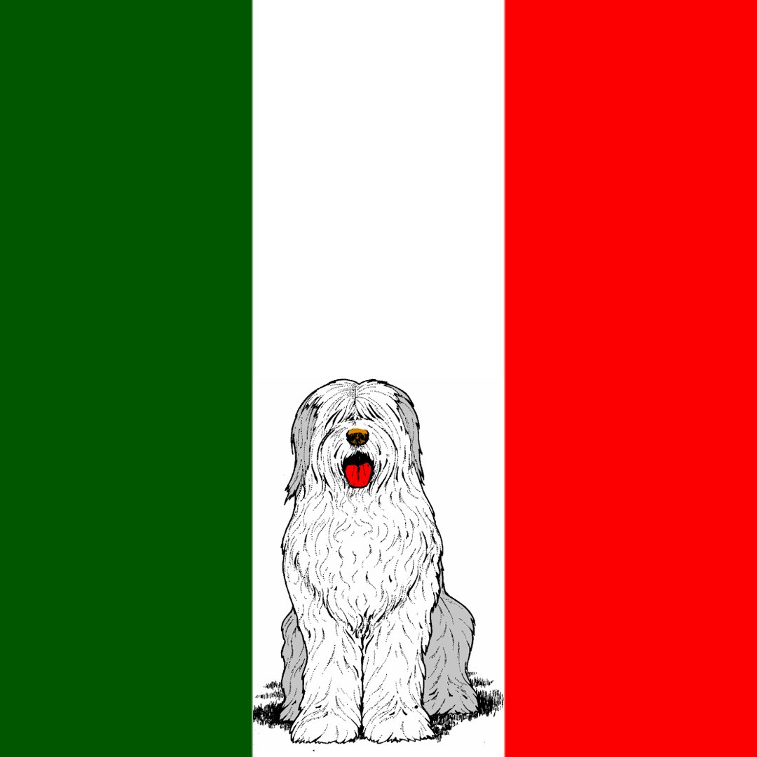 cryptodognation tweet media