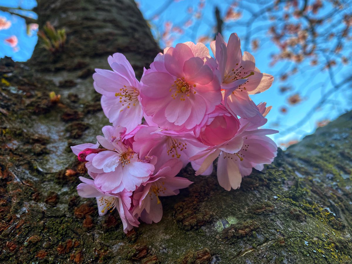 Heerlijk aan het #wandelen met vrienden. #lente #weekend