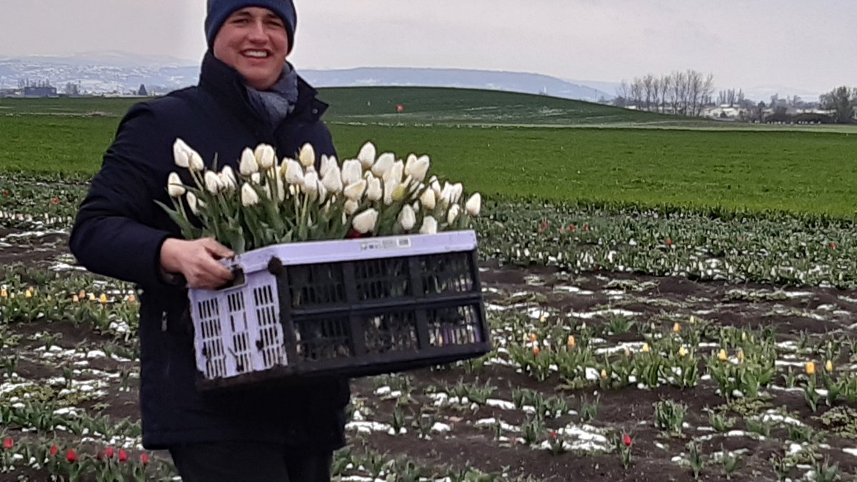 Molle_Dominique's tweet photo. 1ère journée de cueillette des #TulipescontreleCancer à #Marmilhat sous la neige, un vent glacial et 2° la 19e saison est lancée ! #Lions https://t.co/PZXQb9g1jz