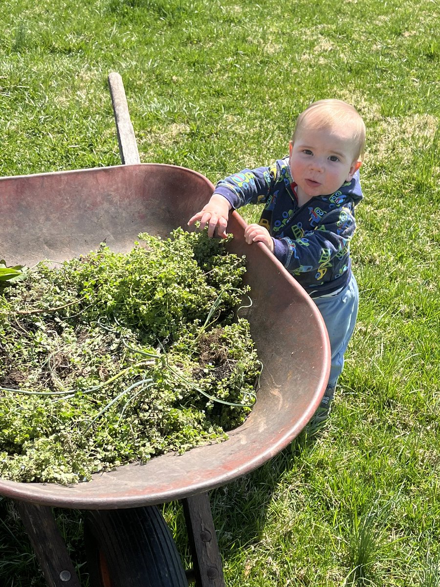 At our house, for three-quarters of the year, weekends involve some sort of weed-pulling and/or gardening. We’re starting our son early!