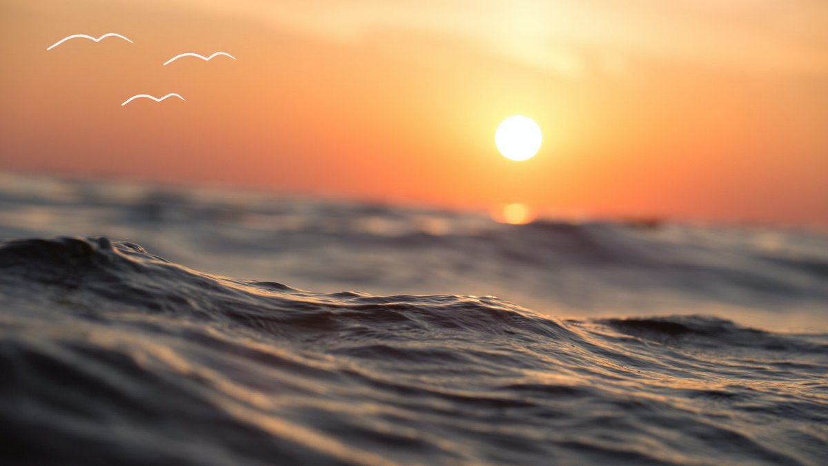 beyonderboating's tweet photo. If you feel at peace when you're near the water you're not alone. The sea is proven to have a positive impact on wellbeing, and a Beyonder membership can bring you that sense of #calm whenever you need it most. Discover more: https://t.co/xNLE6mSc2C https://t.co/XTXTUblZ7Q
