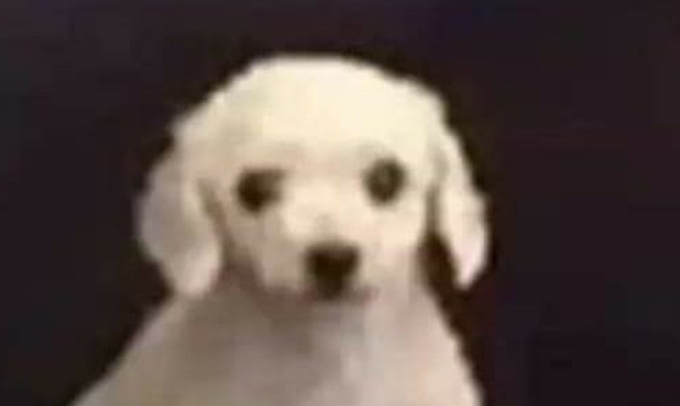 Quiero ganar telebingo pero no quiero comprar cartón.