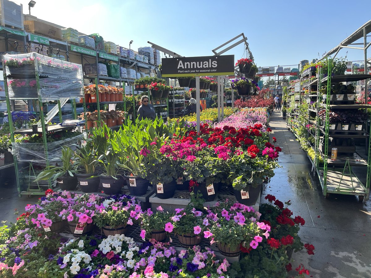 valeriefp64's tweet photo. 6816 OakCliff Home Depot for spring. Garden is in full bloom. #6816Oakcliffhomedepot @mrEdReyesHD @Robert_Daffern @mrtnz_jackie @ArtisRealliams @HDCalvinThomas @LewisHom https://t.co/DPRQrDEArn
