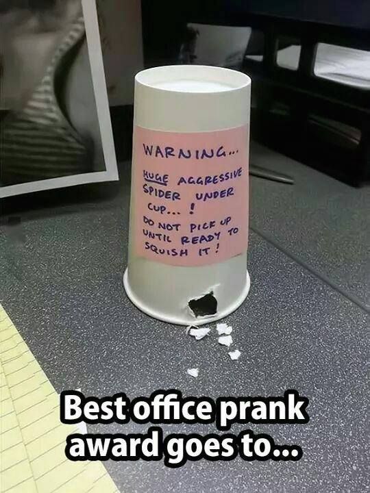 MySugar_buzz's tweet photo. Dont go into the office often these days. OH MAN im saving this idea for a rainy day! #spider #Nope #officescenario https://t.co/iDFpZUhjUI