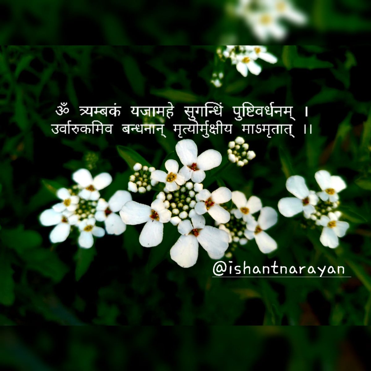 ishant_narayan's tweet photo. https://t.co/h1RBef5Shn