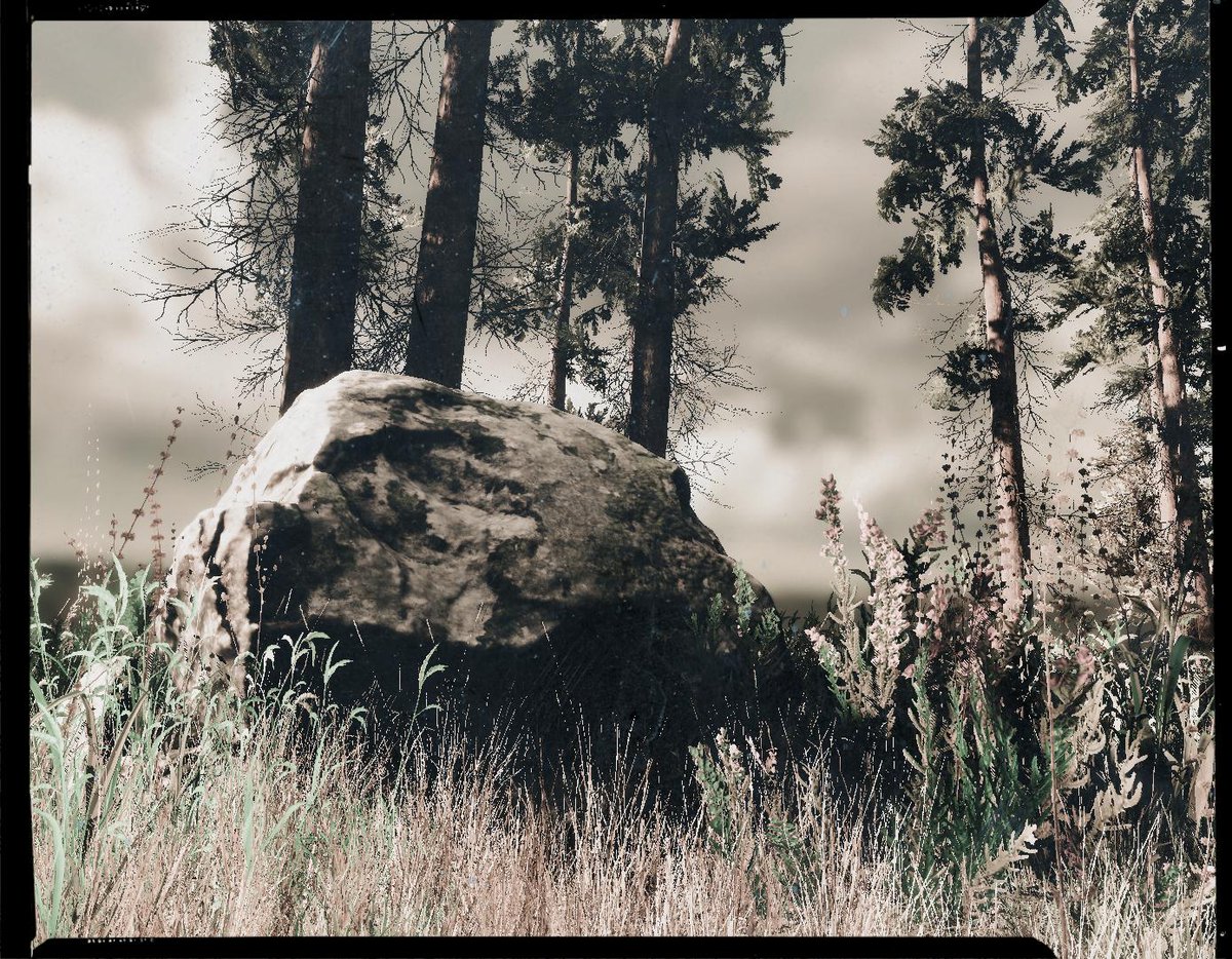 Large rock in wood

#100DaysofGameDev #gamedev #IndieGameDev #indiegames #madewithunity #VirtualPhotography 
#screenshotsaturday
