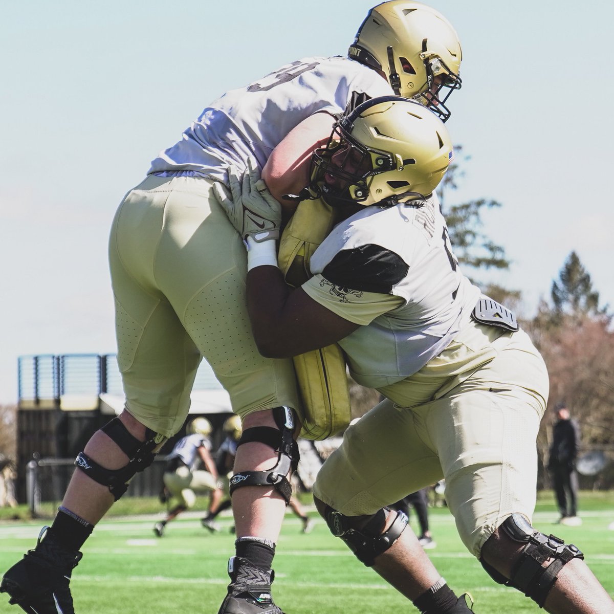 Army Football tweet media