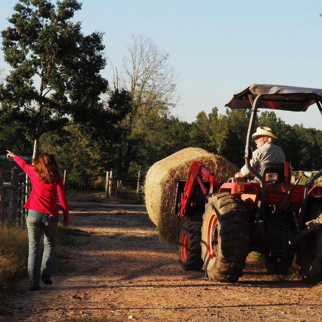Teamwork makes a dream work. We work hard and personally take care of our cattle and our customers!
#ThousandHillsCattleRanch #THCR #ThousandHillCattle #certifiedorganic #certifiedorganicbeef #farm #cattle #farmlife #farmerlife #cattlefarm #cattlefarming #ranchlife