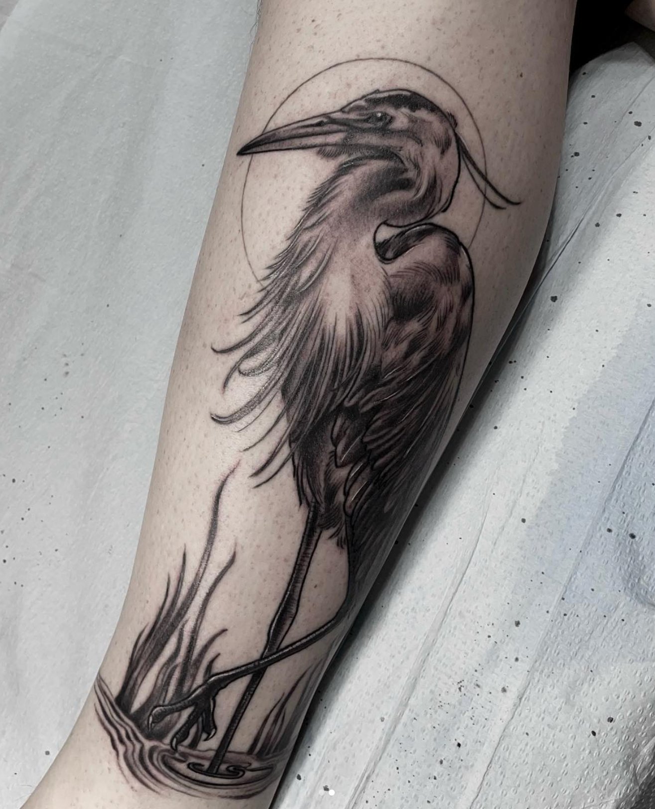 Tattoo Snob on Instagram Heron tattoo by joshjaehnig at Bramble and Stag  Tattoo Parlour in Houghton MI joshjaehnig brambleandstagtattooparlour  houghton