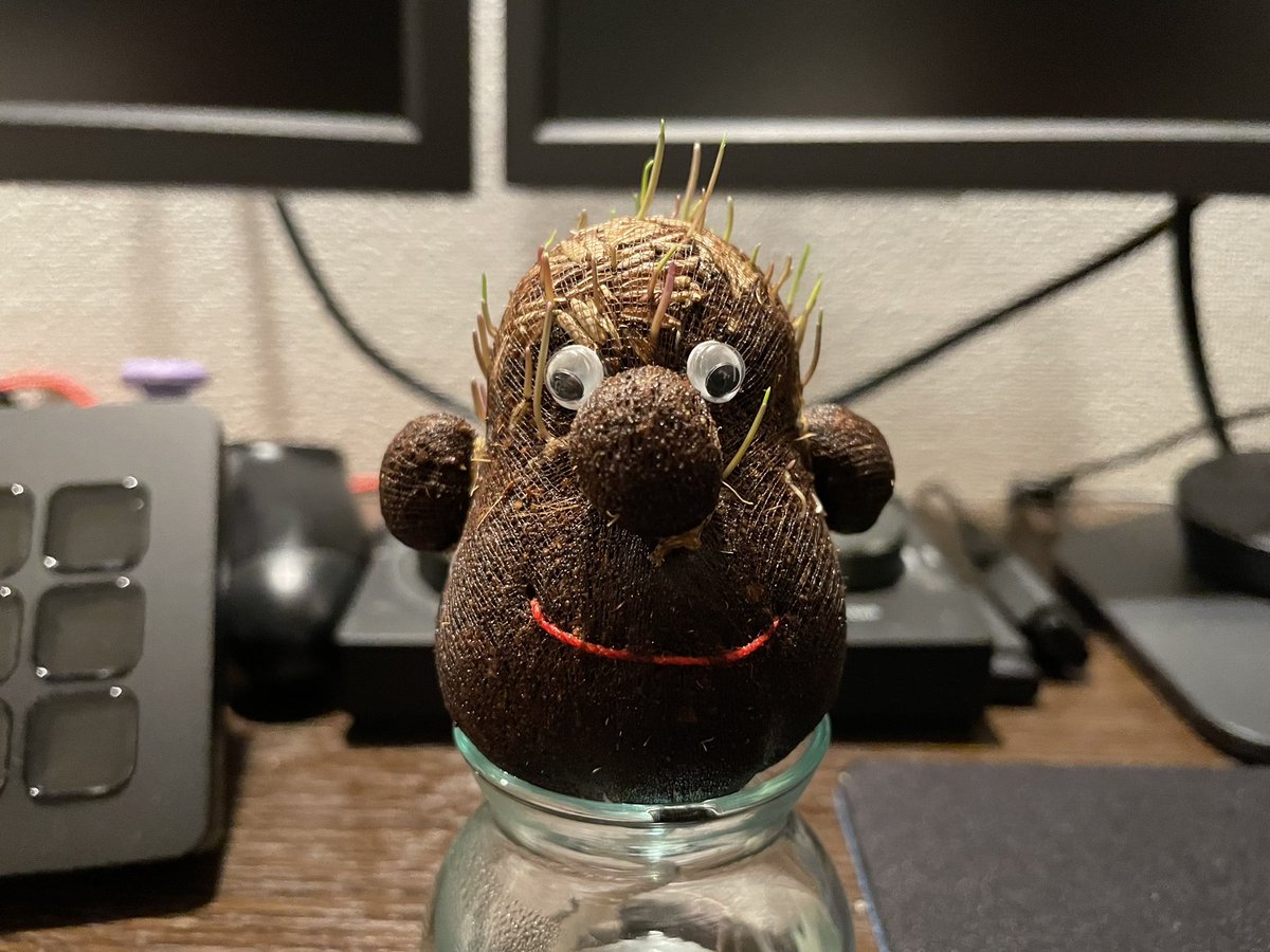 viosp131's tweet photo. 狂気じみた栽培キットをちゅんちゃんが買ってきたんだけど、草の生え方もかなり狂気じみてる。 https://t.co/k2Wv8qtdJG