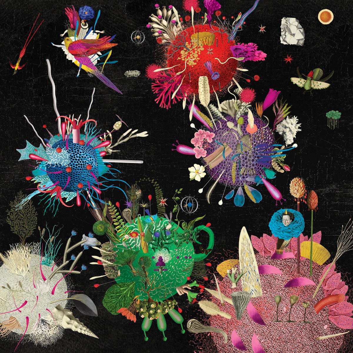eth_mookie's tweet photo. Kinda crazy that i woke up to another @FlowerGirlsNFT  drop?!?! 

A few important notes on this airdrop that I know of: 

1) this drop has no utility, just incredible art
2) it is a sneak peek of what the seeds are going to look like 👀

#NFT #flowergirls #NFTs #opensea #OS https://t.co/BMz5tNtVT7