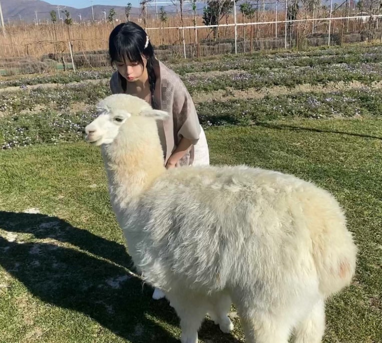 These day is lucky day for my