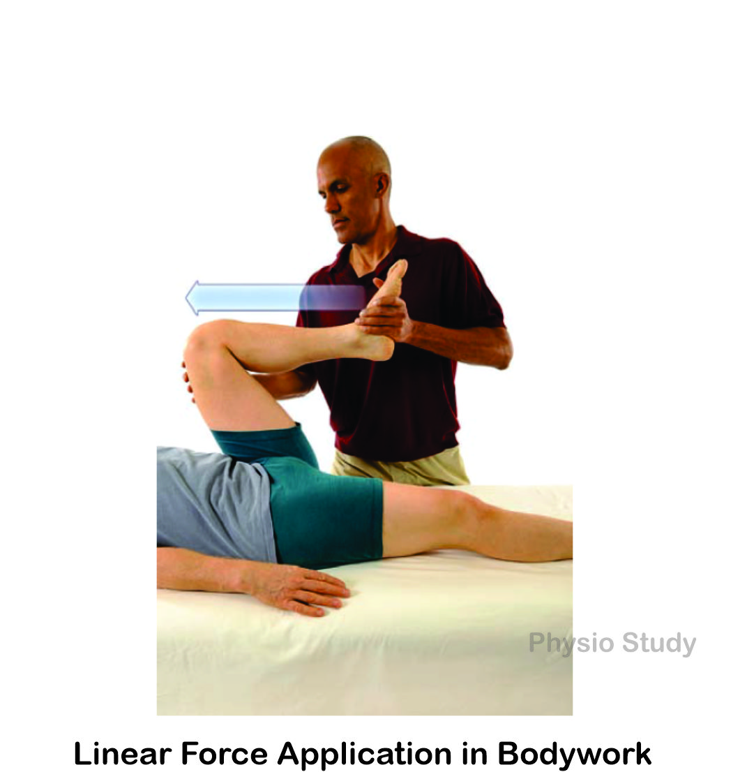study_physio's tweet photo. Forces always come in pairs.

As the law of action and reaction dictates, a force is always met by a counterforce of equal magnitude.

A force can be applied toward or away from a body or an object, from a push or a pull generated either inside or outside of the body. https://t.co/hFSyEWzKhu