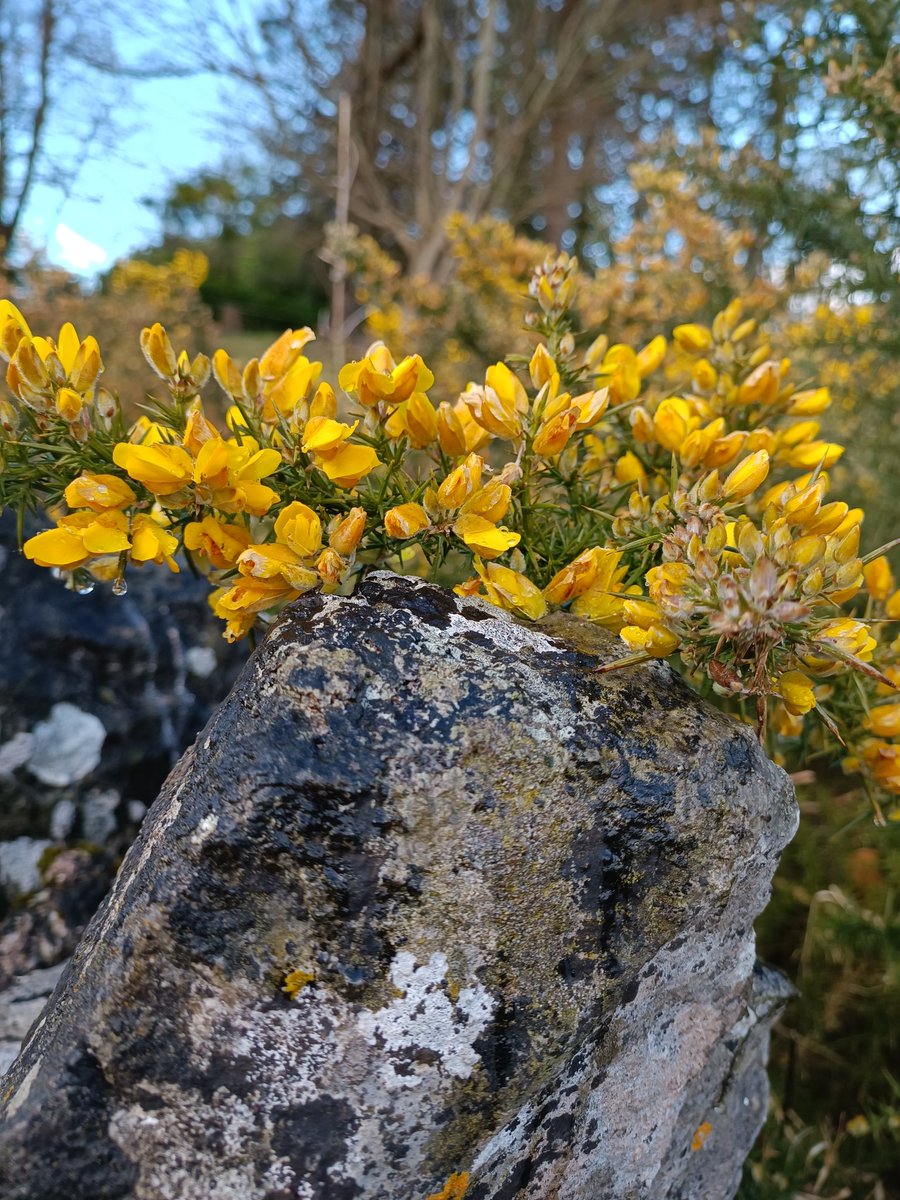 Masonbrook's tweet photo. Day 89, 90, 91 &amp; 92 #100daysofwalking2022 #round2crew @NTBreakfast long walk today and short walks over last few days as busy preparing for a confirmation, such a lovely day yesterday and great to be able to celebrate again! https://t.co/0JdeXS99Eo