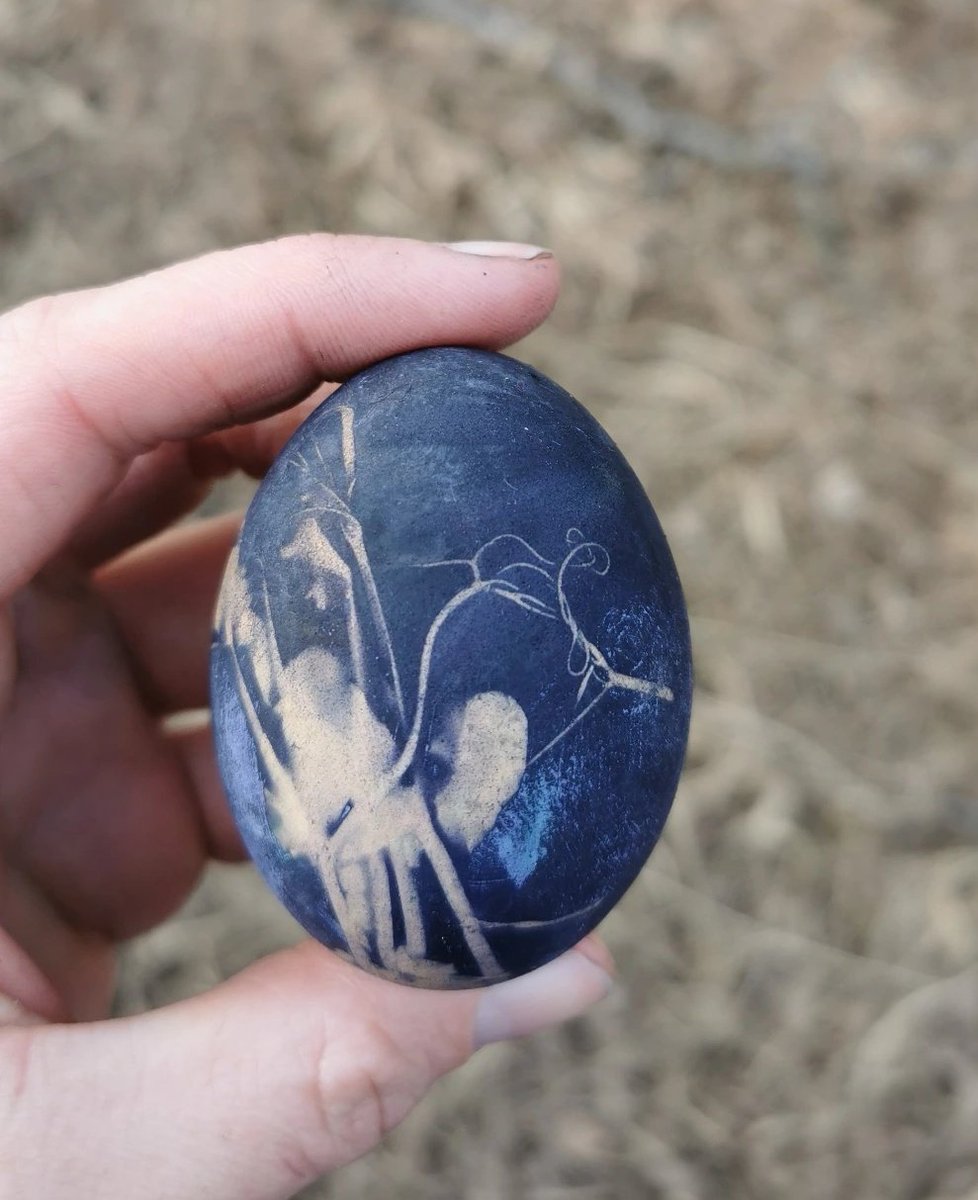 Absolūts ēd tweet media