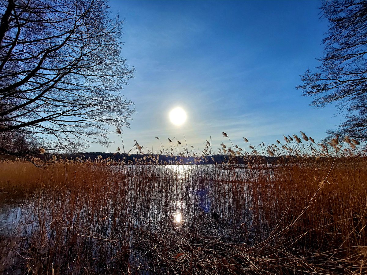 MarcinStanisz82's tweet photo. Sun over #Kortowskie #lake #Olsztyn https://t.co/hS4ch3282P