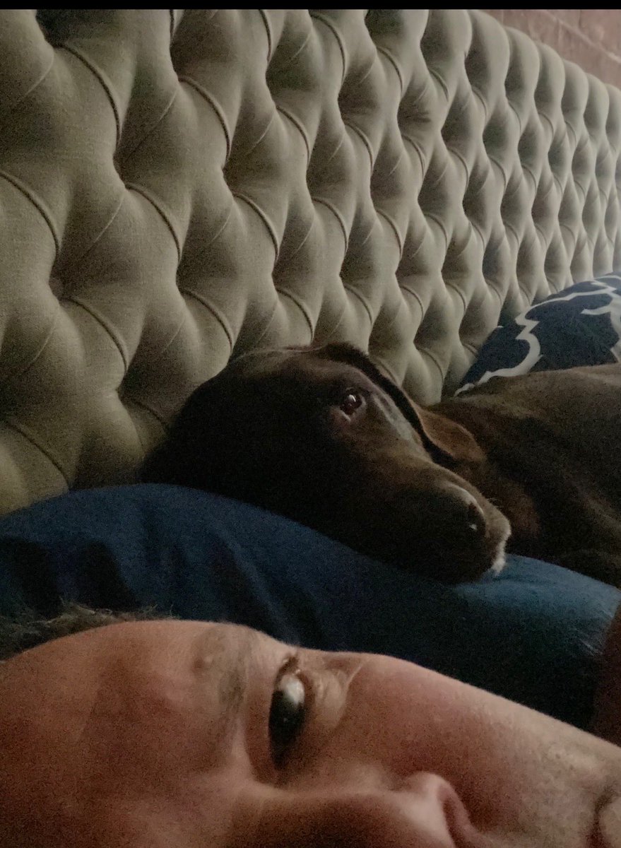 Aaron Douglas tweet media