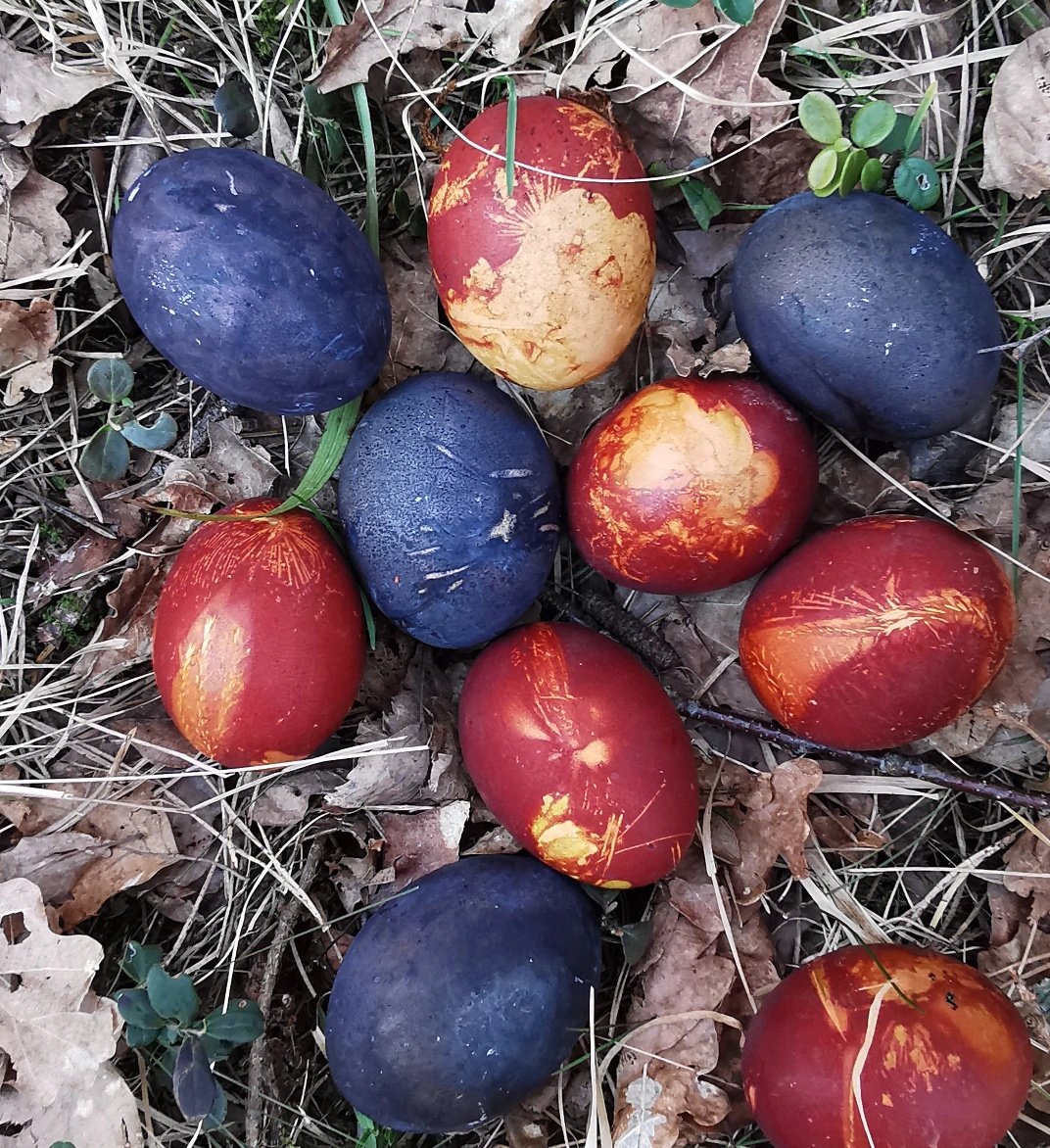 Absolūts ēd tweet media