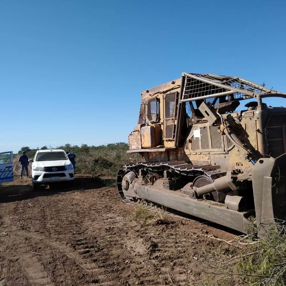 Dirección de Bosques tweet media