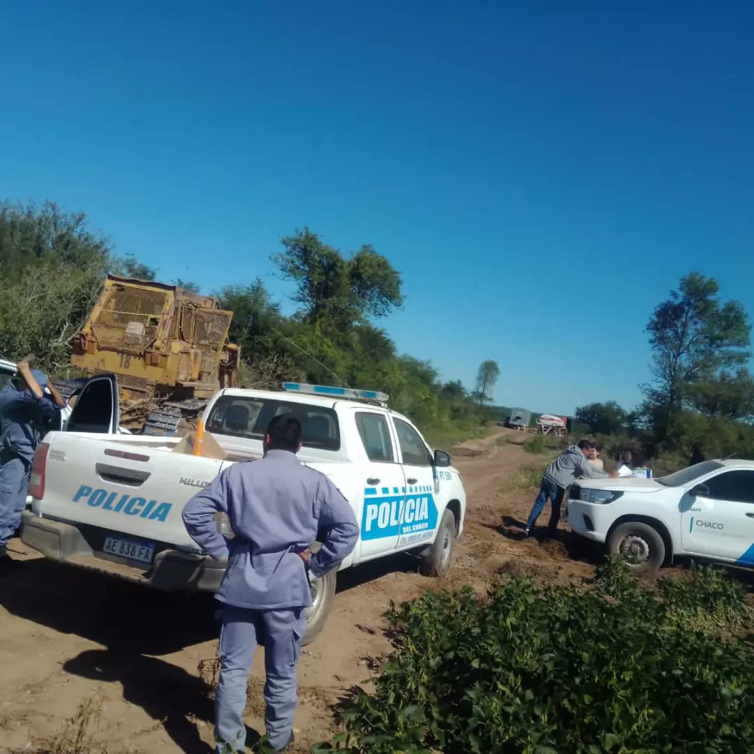 Dirección de Bosques tweet media