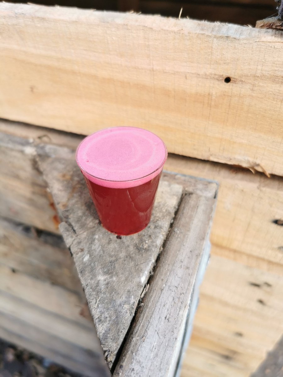 Sneak preview of "Big Beet Manifesto" at <a href="/bottlegrovebeer/">Bottle Grove</a> Friday 8th of April, come down, drink some goodies and get a little glass of this purple madness. Pouring from 7 ✌️